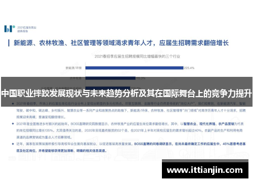 中国职业摔跤发展现状与未来趋势分析及其在国际舞台上的竞争力提升