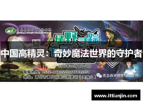 中国高精灵：奇妙魔法世界的守护者